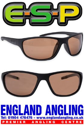 Picture of ESP Insight Sunglasses