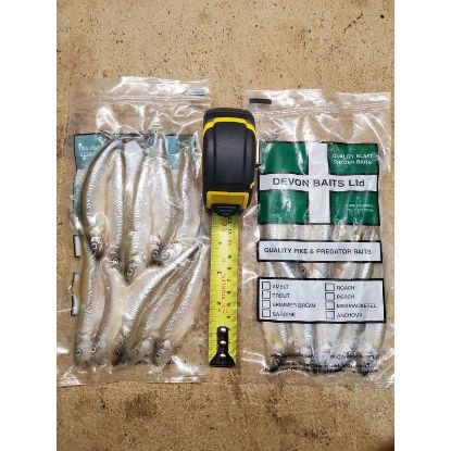 Picture of DEVON BAITS Deadbait Smelt Small (10 pack)