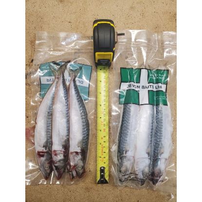Picture of DEVON BAITS Deadbait Joey Mackerel 3 pack