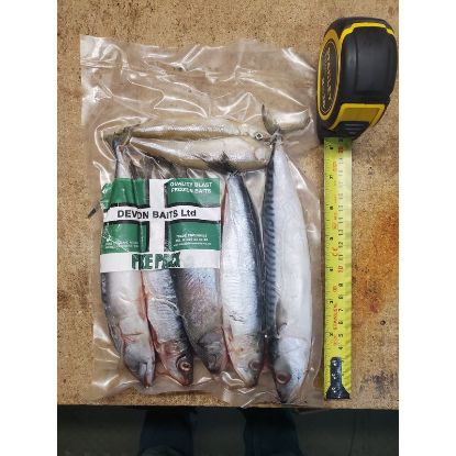 Picture of DEVON BAITS Deadbait Pike Pack (7 mixed fish)